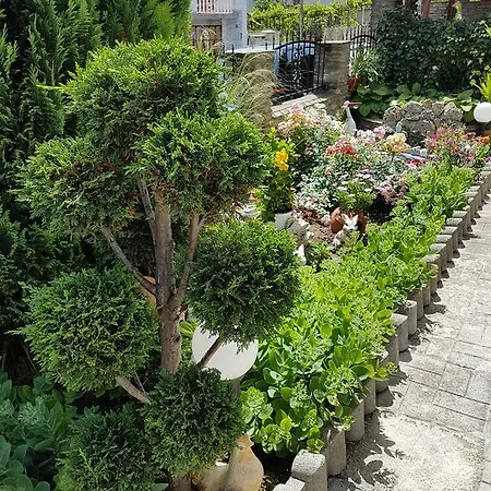 Guest Denitsa Guest house *